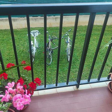 Ani Apartment Porto Sant'Elpidio Exterior photo